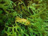 2013-06-12 10-55-53 Steven